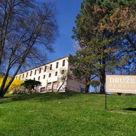 Penzion Druzba Бойниці Екстер'єр фото