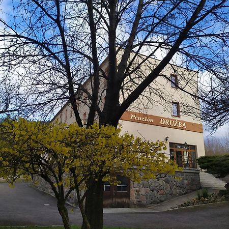 Penzion Druzba Бойниці Екстер'єр фото