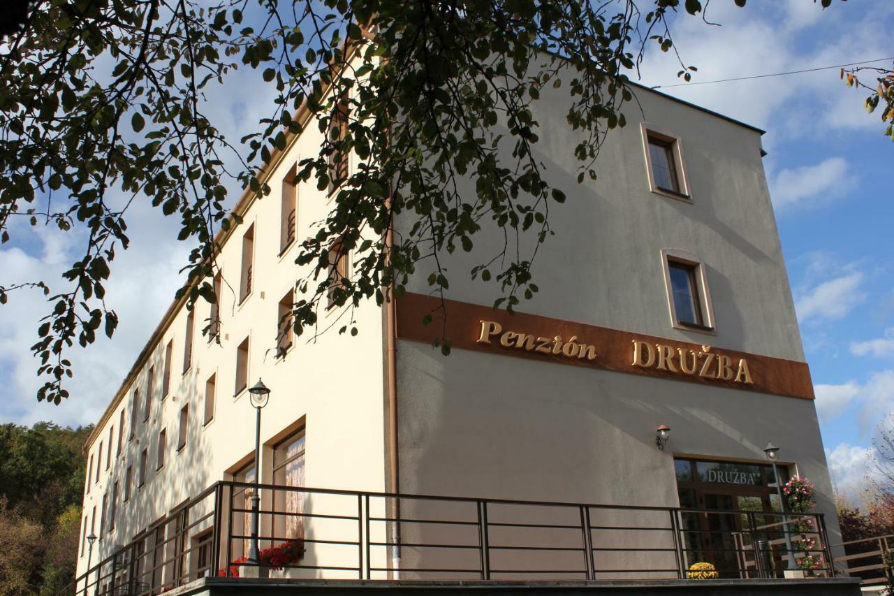 Penzion Druzba Бойниці Екстер'єр фото